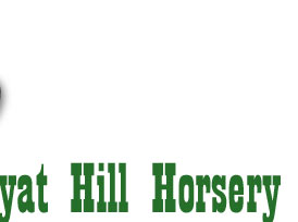 Horse care