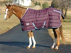 Jasper Standard Blanket