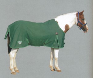Saxon 600 Lite Sheet
