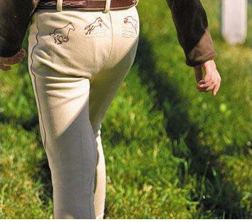 embroidered jodhpurs