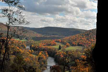 Crede Calhoun Photography Western Maryland Horse and tack